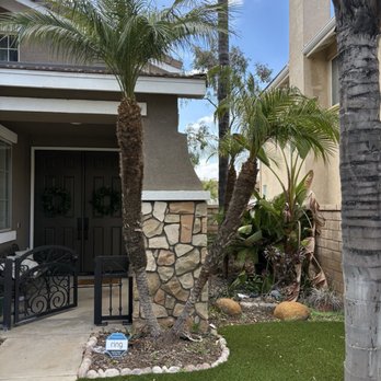 Damian’s Tree Service - After - Tree Services Near Me