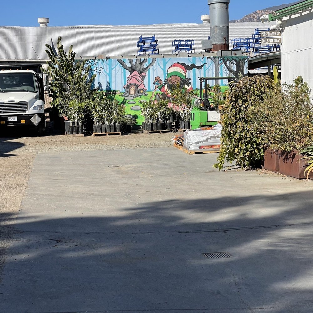 Urban Grow Systems - Parking area, nice mural - Hydroponics Near Me - Santa Barbara, California Urban Grow Systems - Parking area, nice mural - Hydroponics Near Me - Santa Barbara, California