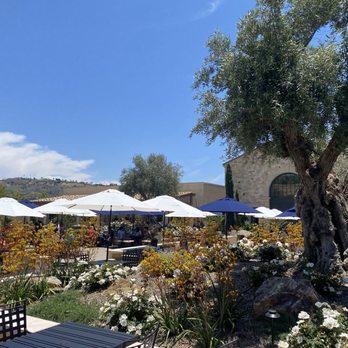 Monserate Winery - Nice umbrellas for shade coverage. - Wineries Near Me - Fallbrook, California Monserate Winery - Nice umbrellas for shade coverage. - Wineries Near Me - Fallbrook, California