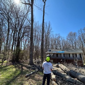 E Z Tree Upstate - Tree Services Near Me - Anderson, South Carolina