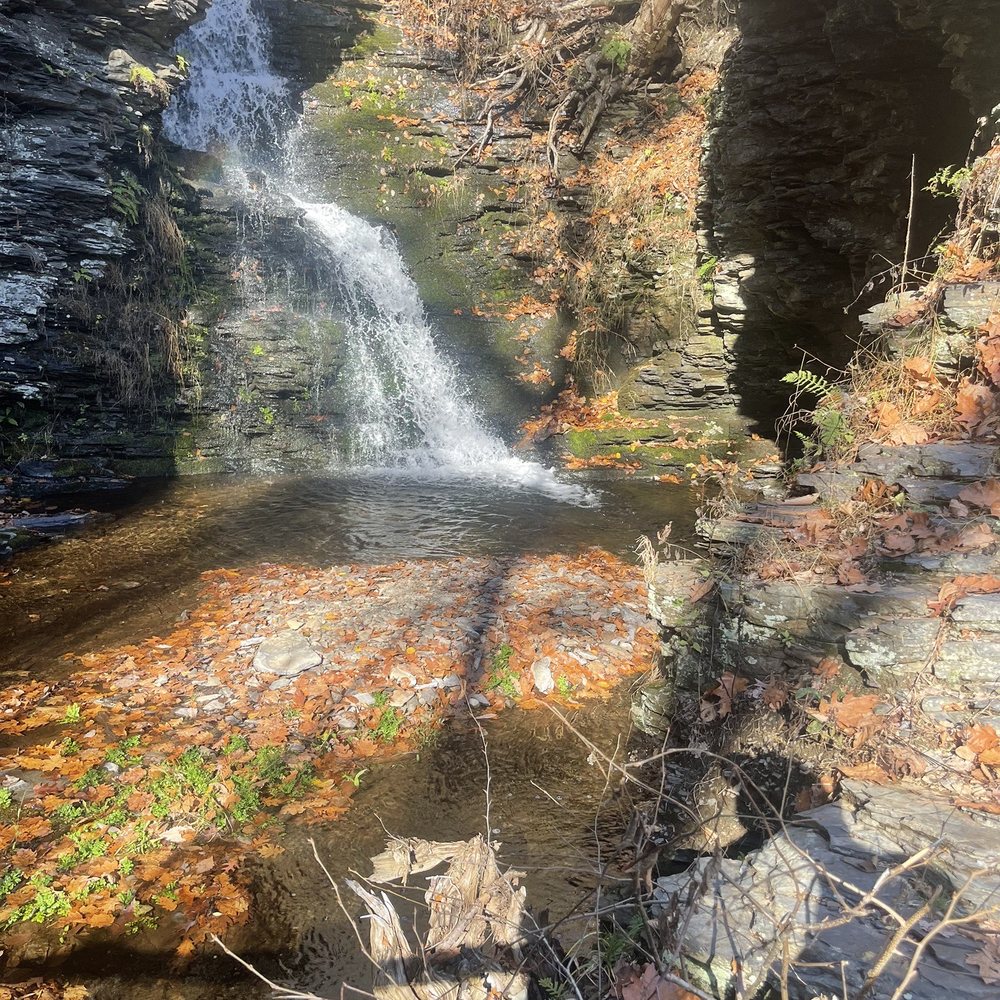 Bushkill Falls - Falls - Tours Near Me - Bushkill, Pennsylvania Bushkill Falls - Falls - Tours Near Me - Bushkill, Pennsylvania