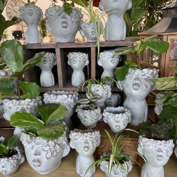 Urban Garden - Pot head variety - Home & Garden Near Me - Santa Rosa, California Urban Garden - Pot head variety - Home & Garden Near Me - Santa Rosa, California