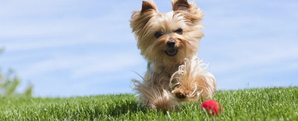 SUN CITY CENTER VETERINARY CLINIC - Updated September 2024 - 23 Photos & 16 Reviews - 1007 E Del