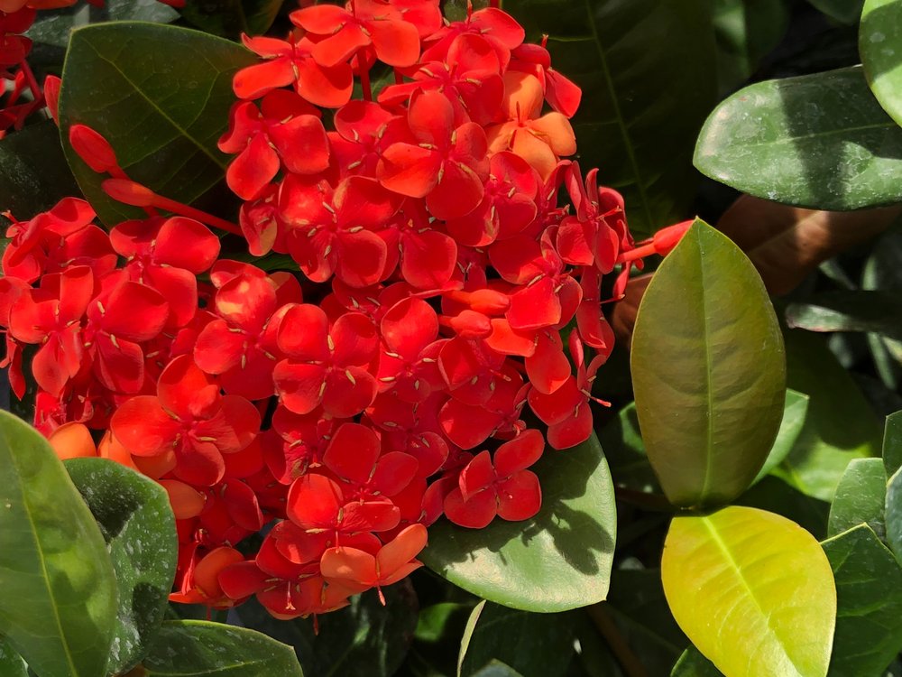 THE GARDEN SPOT OF THE SUNSHINE STATE Updated September 2024 13