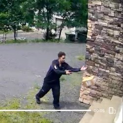 US Post Office - Come within 6' of the porch and throw the package. snap a photo as you turn to walk away.