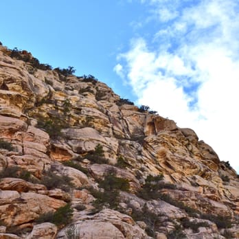 La Madre Springs - Hiking Near Me - Las Vegas, Nevada La Madre Springs - Hiking Near Me - Las Vegas, Nevada