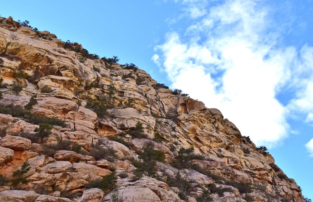 La Madre Springs Logo