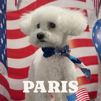 Happy Dog Spa - Dog grooming - Pet Groomers Near Me - Johns Creek, Georgia