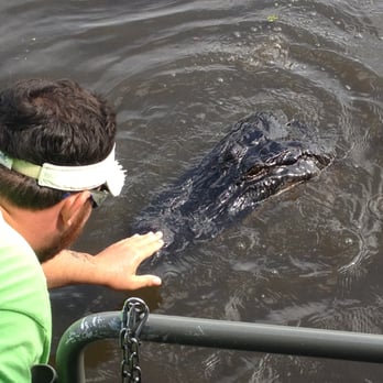 Ultimate Swamp Adventures - Tour guide petting the alligator. - Tours Near Me - Westwego, Louisiana Ultimate Swamp Adventures - Tour guide petting the alligator. - Tours Near Me - Westwego, Louisiana