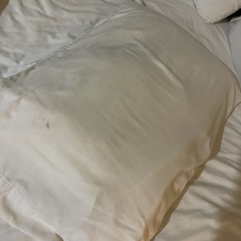 Motel 6 - Stained unwashed pillow - Hotels Near Me - Payson, Arizona Motel 6 - Stained unwashed pillow - Hotels Near Me - Payson, Arizona