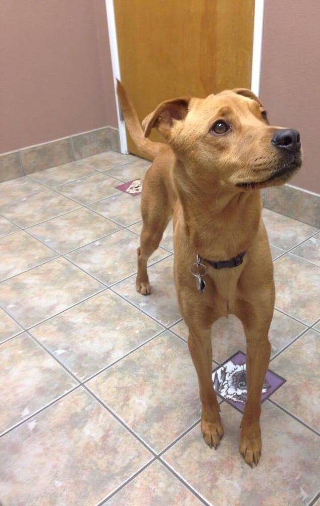 BEARDSLEY ANIMAL HOSPITAL Updated October 2024 27 Photos & 81