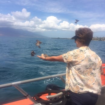 Seafire Charters - One of our friends with birds eating from her hand - Boat Charters Near Me Seafire Charters - One of our friends with birds eating from her hand - Boat Charters Near Me