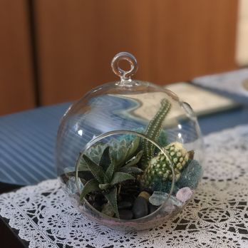 Succulence - The succulent terrarium from the succulent terrarium building event - Team Building Activities Near Me