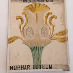 Inverleith House Gallery