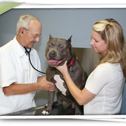 Veterinarians In Valdosta Yelp
