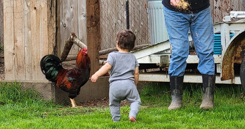 Amazing Discoveries Daycare - childcare center in Tacoma, WA