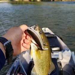 Big Elk Floats & Camping - See, here's Proof!