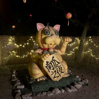 Pioneer Farms - Lucky cat - Museums Near Me - Austin, Texas Pioneer Farms - Lucky cat - Museums Near Me - Austin, Texas