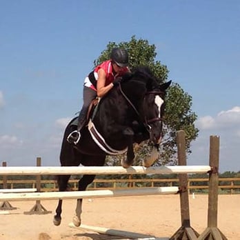 Bit By Bit Farms - Horseback Riding Near Me - Elgin, Texas