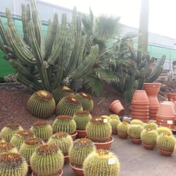 Vivero el Castillo