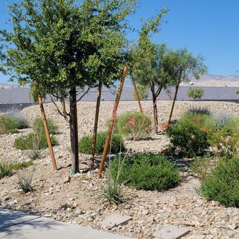 Sun Trails Park - Walk path - Parks Near Me - Las Vegas, Nevada Sun Trails Park - Walk path - Parks Near Me - Las Vegas, Nevada