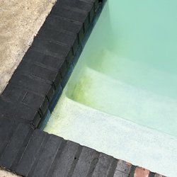 Camp Out Alabama - Pics of algae laden pool.