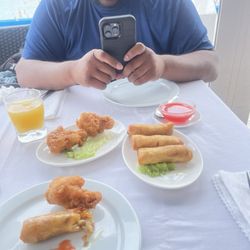 Pekin Garden - Fried chicken wings and vegetables rolls