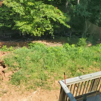 Sailers & Son - Tree Services Near Me