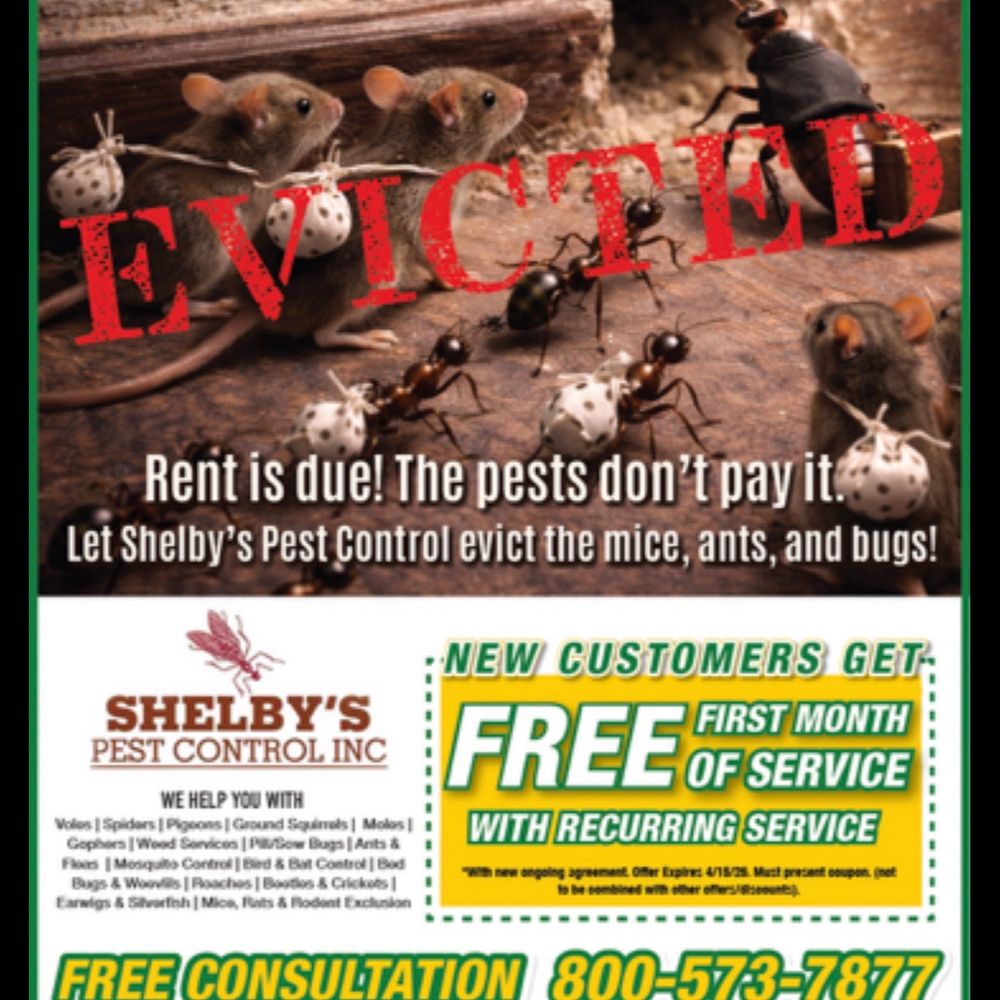 Shelby's Pest Control - They have an ad in the local Glenn County Shopper. - Pest Control Near Me - Chico, California Shelby's Pest Control - They have an ad in the local Glenn County Shopper. - Pest Control Near Me - Chico, California
