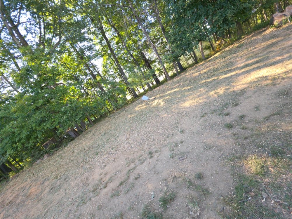 Coreas Tree Services - tree service in Owings Mills, MD