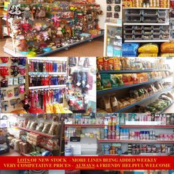 Andy's Animal Kingdom - Our Family Run Pet Shop & Dog Grooming Parlour
