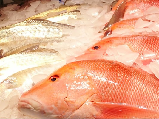 Kailis Bros Leederville by null