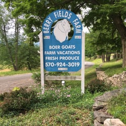 Berry Fields Farm - Farm to table dining