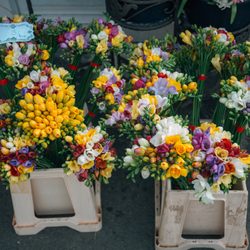 Emerald Gardens Flowers - #localtulips #localvalentinesdelivery #supportlocalflorist #happyvalentinesday