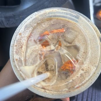 Proyecto Diaz Coffee - Calabaza Latte - Coffee & Tea Near Me - Oakland, California