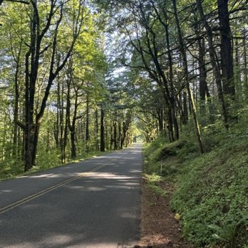 Ebike Multnomah Falls - Historic Columbia River Highway - Bike tours Near Me - Cascade Locks, Oregon