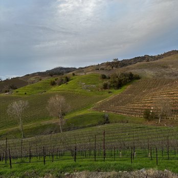 Hanna Winery - Views are wonderful! - Wineries Near Me - Healdsburg, California
