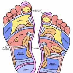 Xenquility Therapeutic Massage