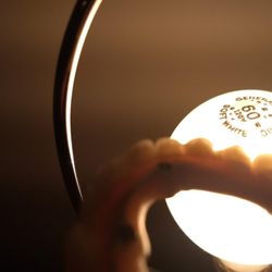 Didier Guillaume, DMD - Flaws illuminated with regular light