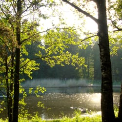 Takaniemi