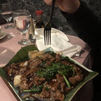  Plum Tree Garden - Steak and spinach.  An excellent combo with the sauce. - Chinese Near Me - Langhorne, Pennsylvania