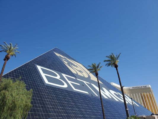 The Oasis Pool by null