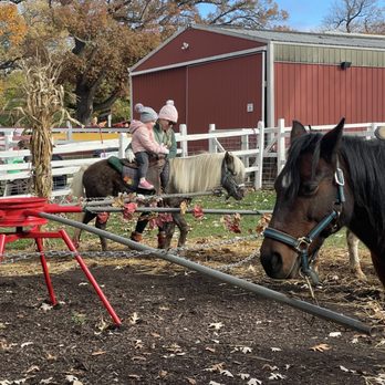 Sonny Acres Farm - Pumpkin Patches Near Me - West Chicago, Illinois