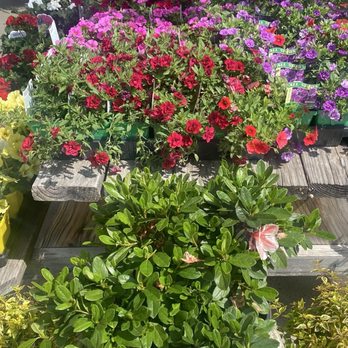 Tripp’s Ace Hardware - Flowers - Hardware Stores Near Me - Columbia, Tennessee