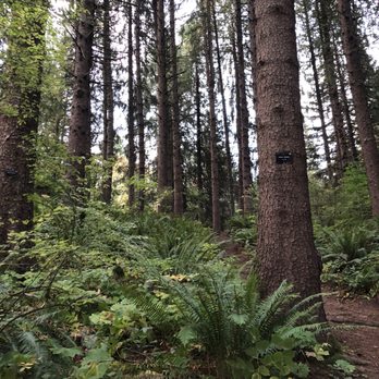 Hoyt Arboretum - Botanical Gardens Near Me - Portland, Oregon