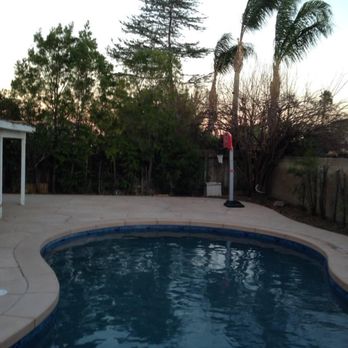 NuView Landscape Construction  - Yard before with trees. - Landscaping Near Me