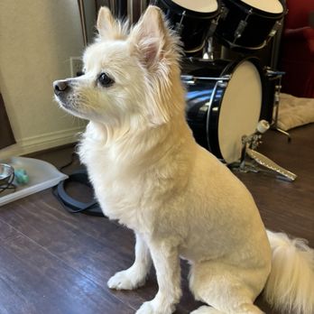 Barkys Bathtime - Profile view - Pet Groomers Near Me - Rancho Cucamonga, California