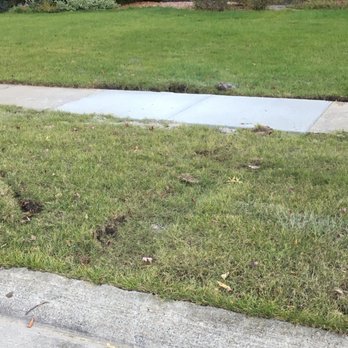 Italia Construction - Ouch! - General Contractors Near Me - Washington, Michigan