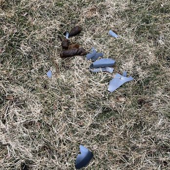 Flats at 146 - Dog poop - Apartments Near Me - Noblesville, Indiana Flats at 146 - Dog poop - Apartments Near Me - Noblesville, Indiana