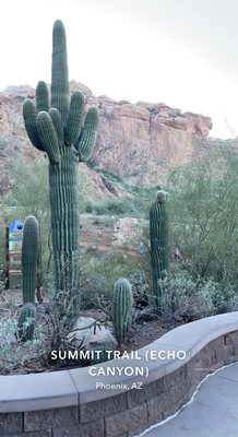 Echo Canyon Trailhead by null